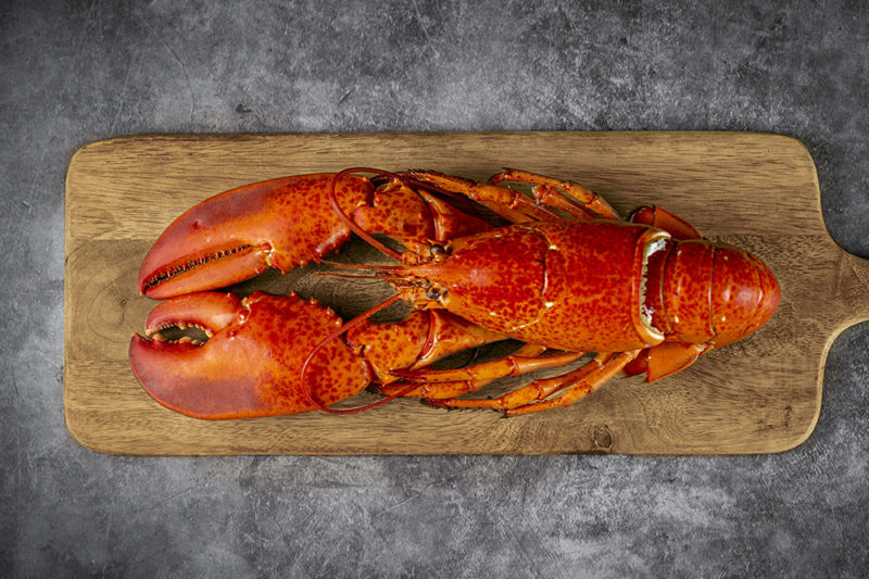 Cooked Whole Lobster on a wooden board