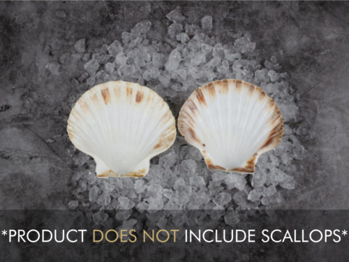 Scallop shell 4 pack does not include scallops