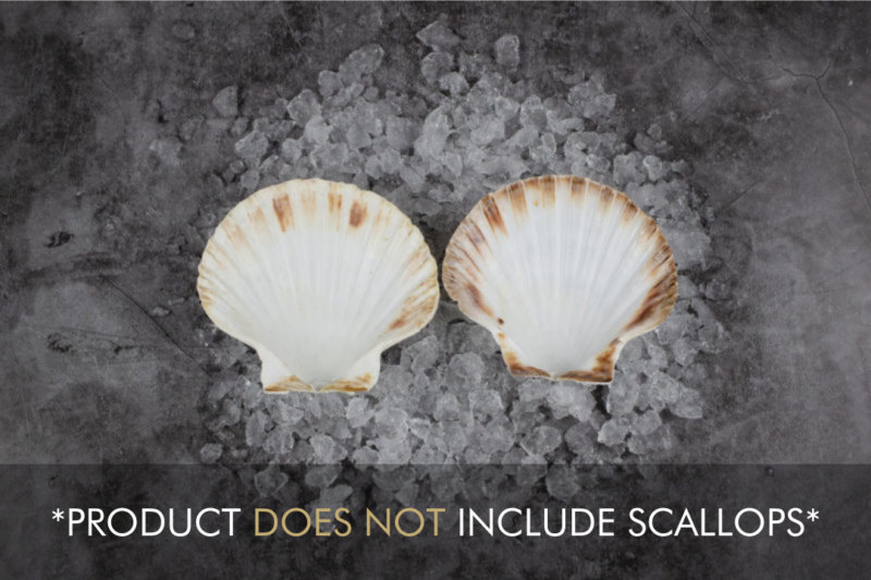 Scallop shell 4 pack does not include scallops