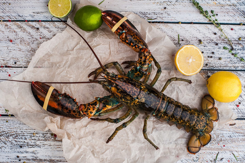 Raw Whole Canadian Lobster (450g) Seafood By Sykes