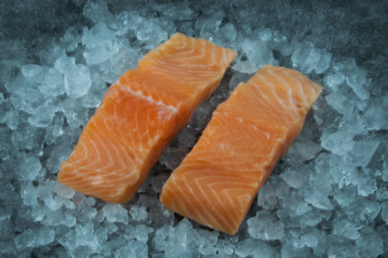 close up salmon on ice