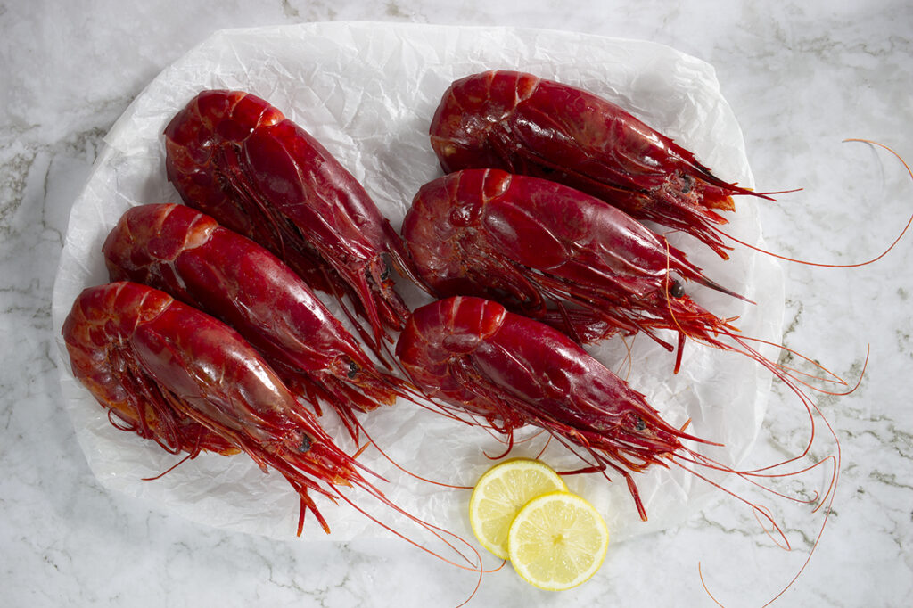 six extra large carabineros on a plate