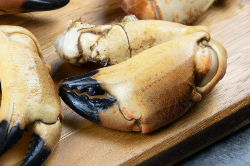 cooked crab claw