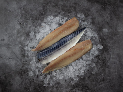 top down cornish mackerel on ice