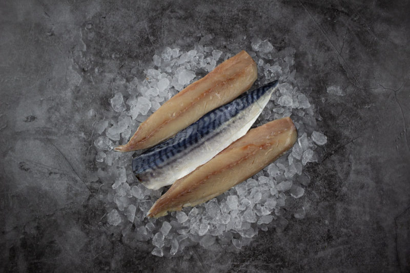 top down cornish mackerel on ice