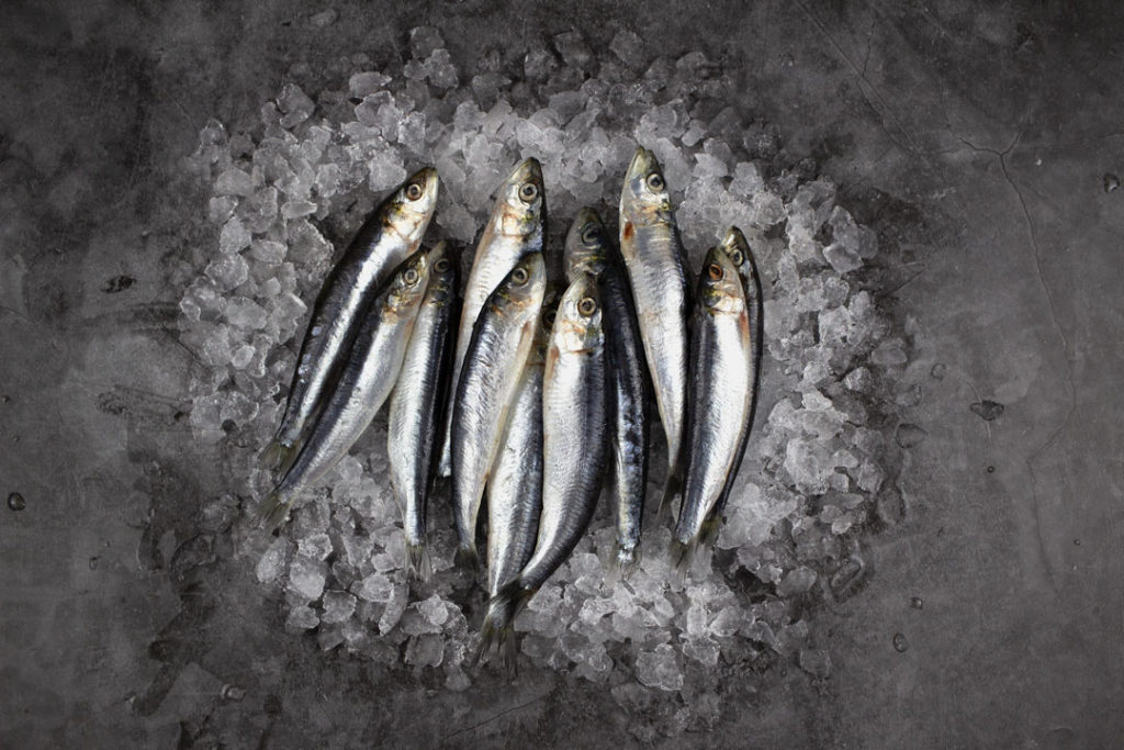 Cornish Whole Sardines (950g) Seafood By Sykes