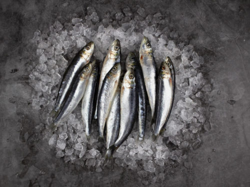 Cornish whole sardines on ice