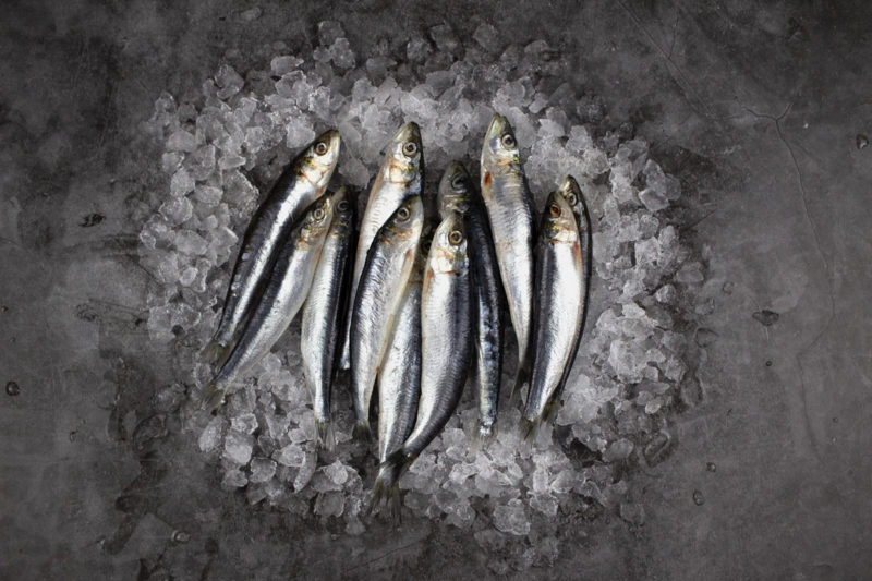 Cornish whole sardines on ice