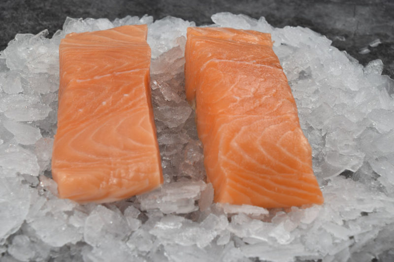 xl salmon fillets close up