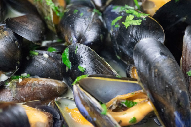 Irish mussels close up