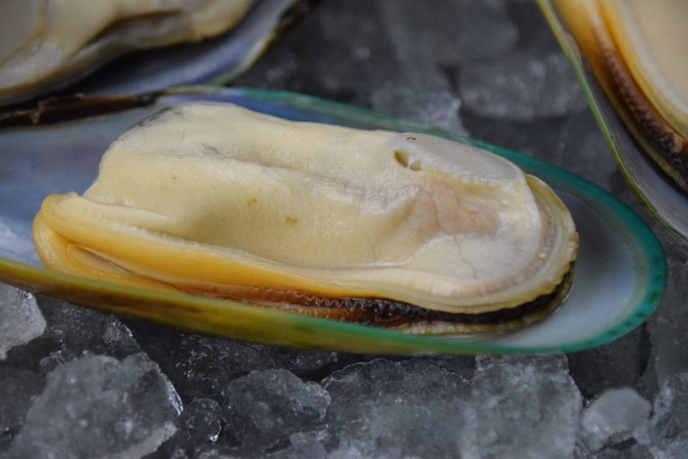 New Zealand GreenLipped Mussels (800g) Seafood By Sykes