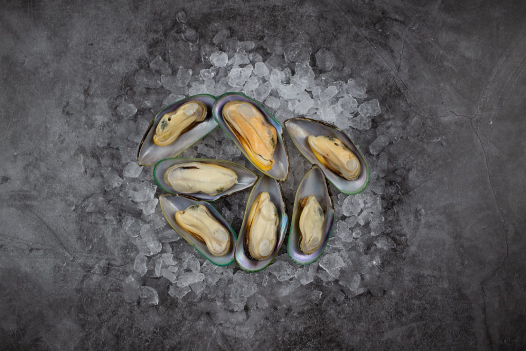 New Zealand GreenLipped Mussels (800g) Seafood By Sykes