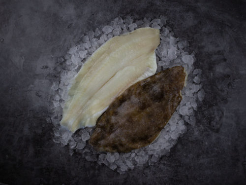 plaice fillet top down on ice