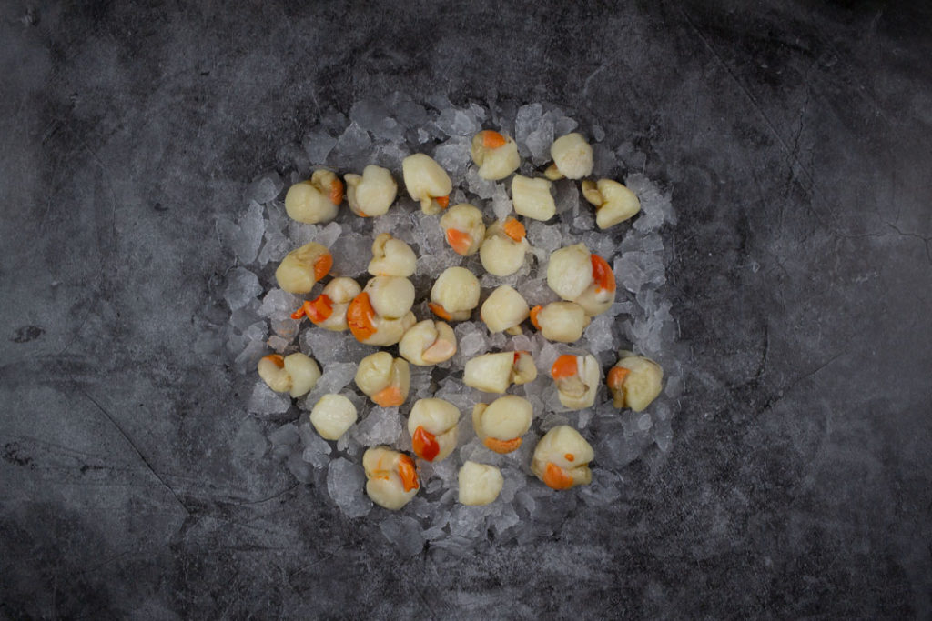 Queen Scallops Roeon (600g) Seafood By Sykes