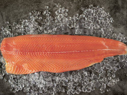 Frozen Fish | Order Online To Your Door | Seafood By Sykes