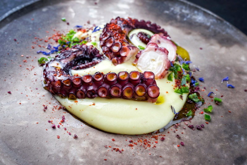 Cooked Octopus tentacles