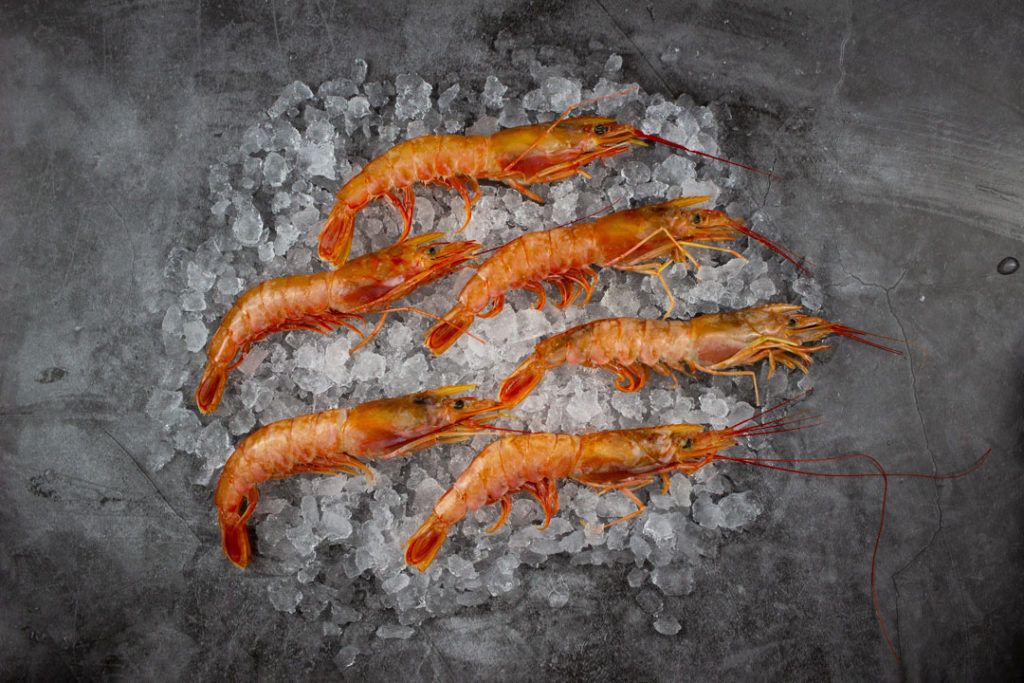 Xl Raw Whole Argentinian Wild Red Shrimp 2kg Seafood By Sykes