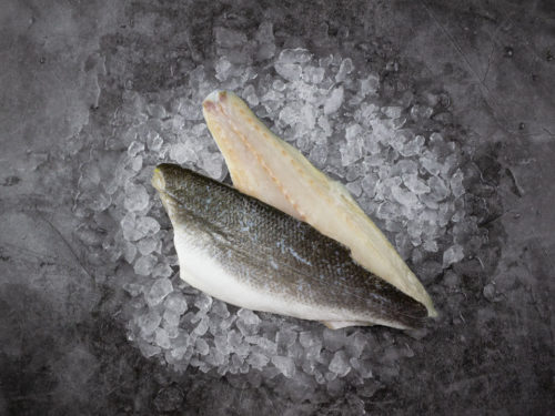 extra large sea bass fillets on ice