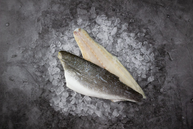 extra large sea bass fillets on ice